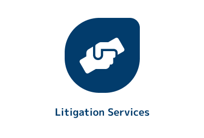 LITIGATION SERVICES